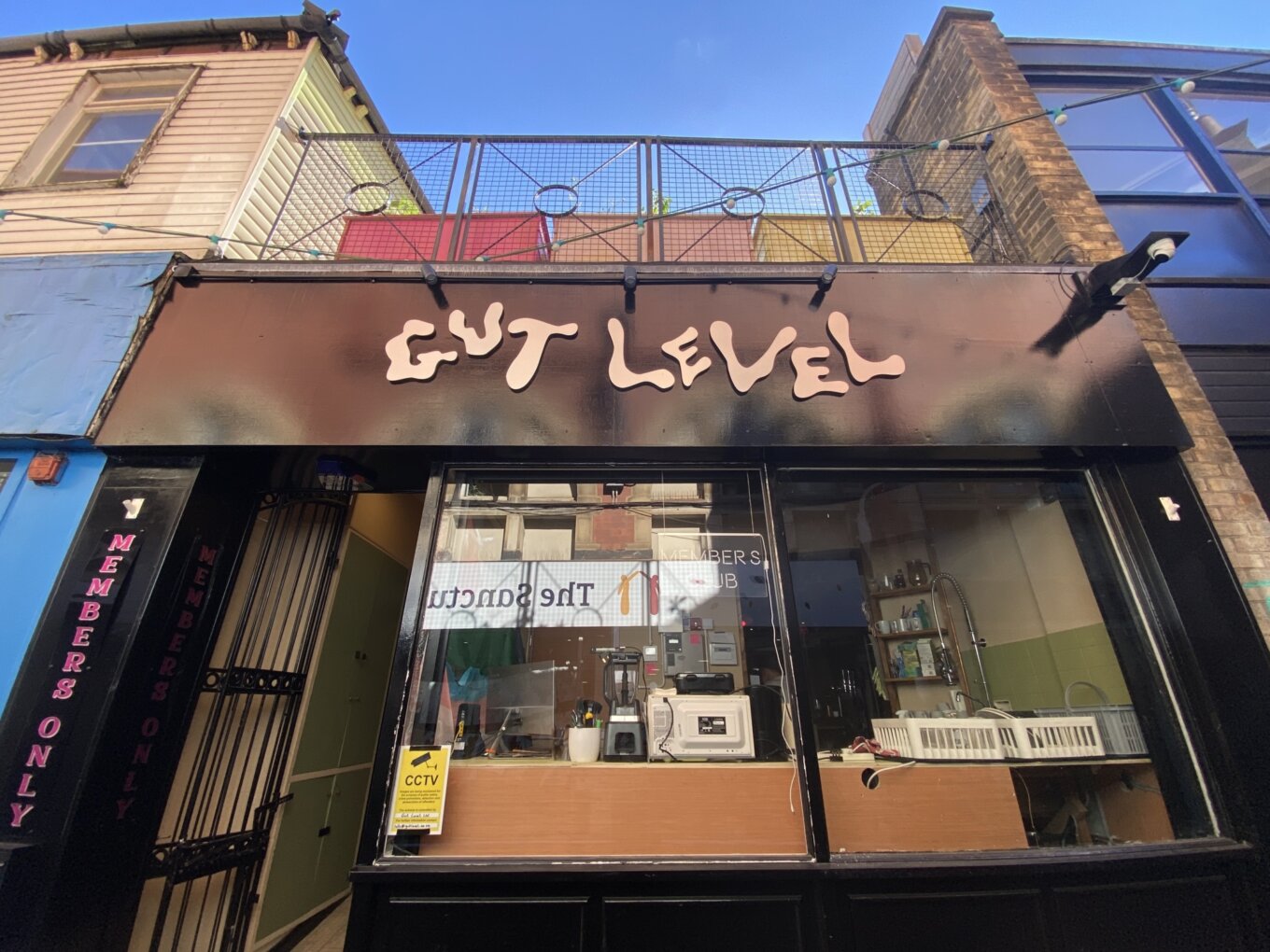 Photo of Gut Level